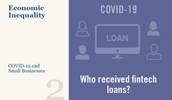 Two tone graphic of who received fintech loans