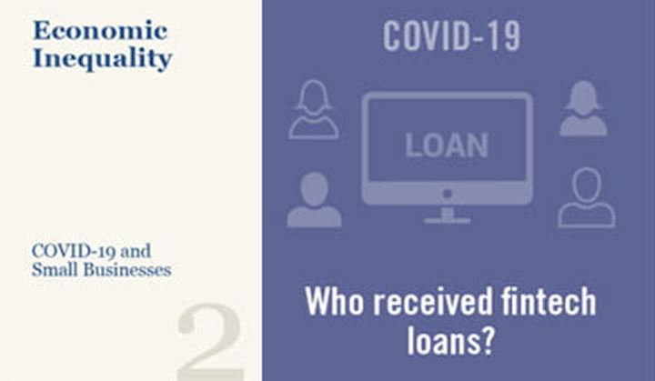 Two tone graphic of who received fintech loans