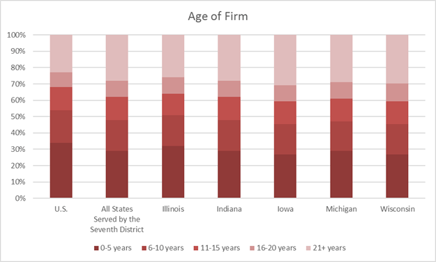Age of Firm