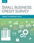 Cover of the Report on Employer Firms based on the 2017 Small Business Credit Survey