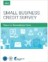 Cover of Report on Nonemployer Firms from 2017 Small Business Credit Survey